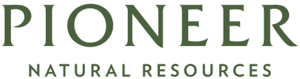 pioneer logo